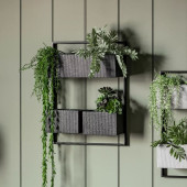 Wall Planter - Grey 