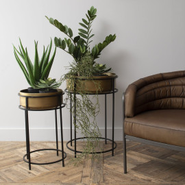 Gold Planter with a Black Metal Stand Set of two